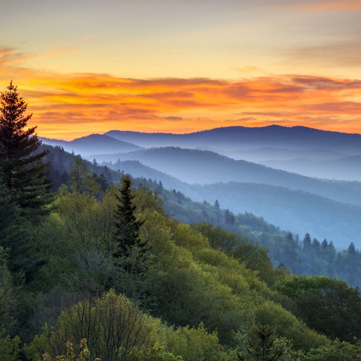 Beautiful Smoky Mountains landscape